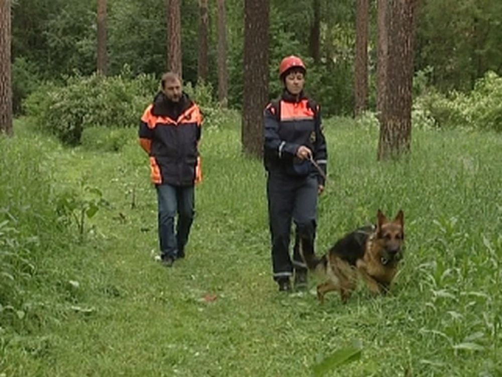 В Свердловской области ищут заблудившихся в лесу четырех подростков