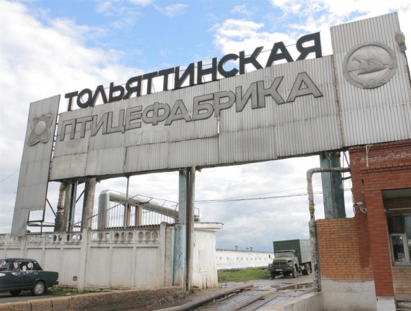 Руководство «Тольяттинской птицефабрики» подозревается в уходе от уплаты налогов