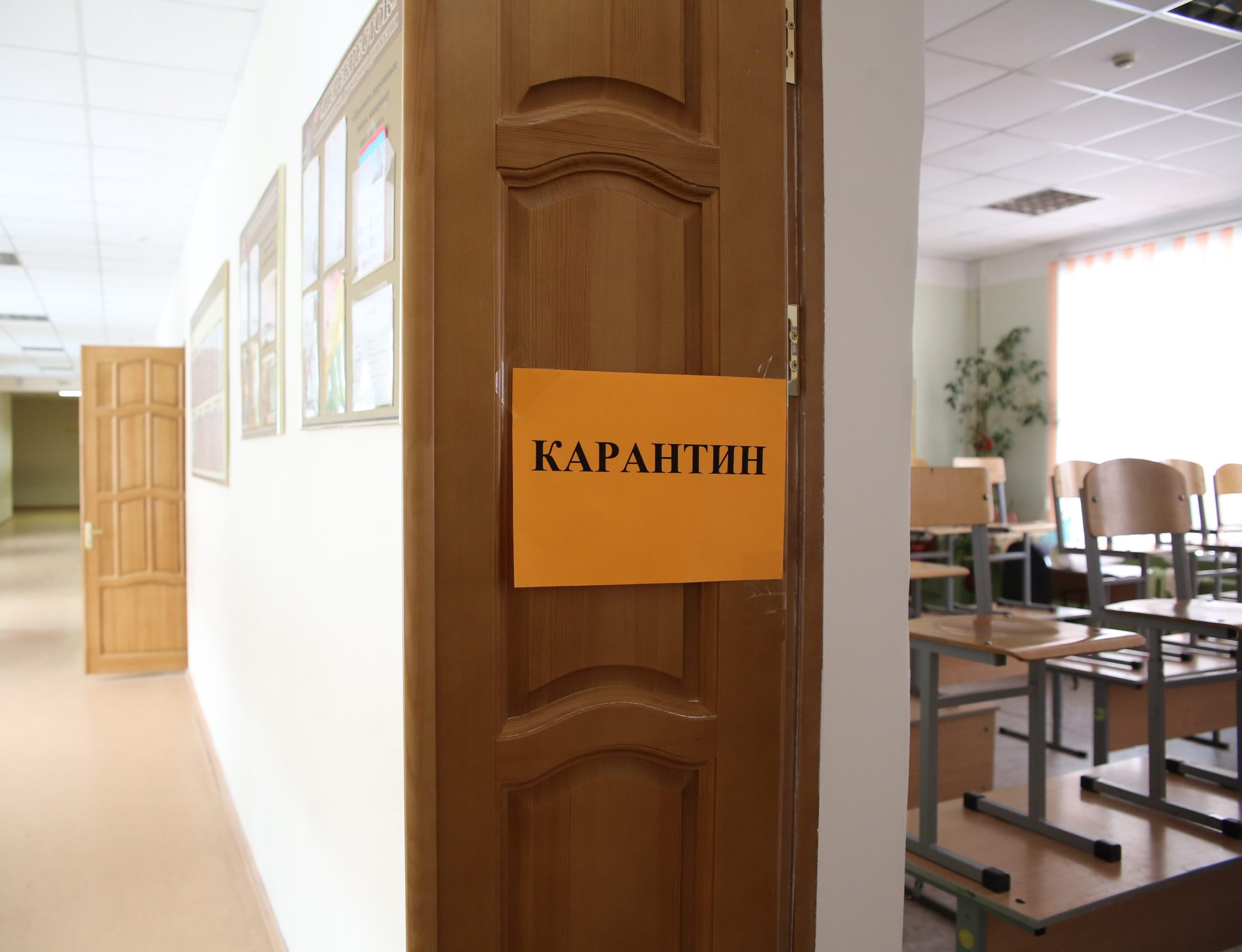 Все школы и вузы Саратова закрыты на карантин из-за вспышки гриппа и ОРВИ