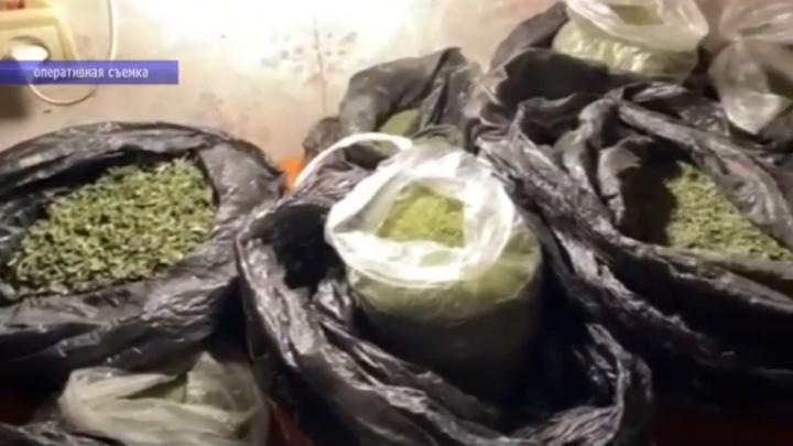 Группа наркодилеров арестована в Саратове