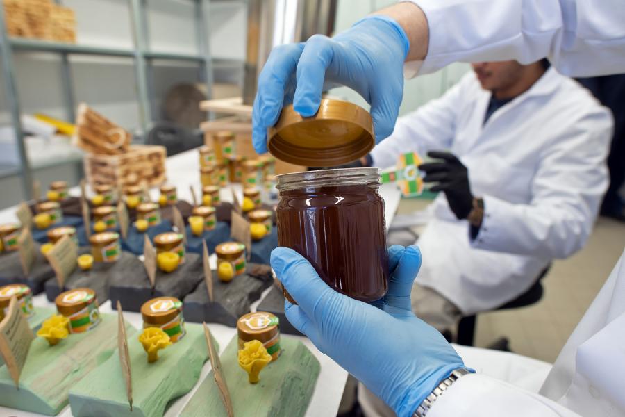 Экспорт меда в Европу планируют начать нижегородские фермеры в 2022 году