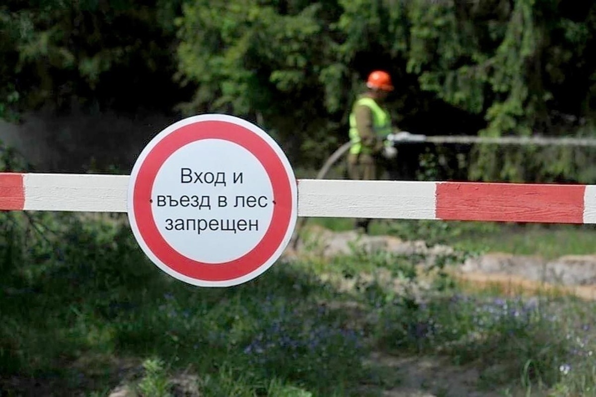 На севере Свердловской области локализованы восемь лесных пожаров