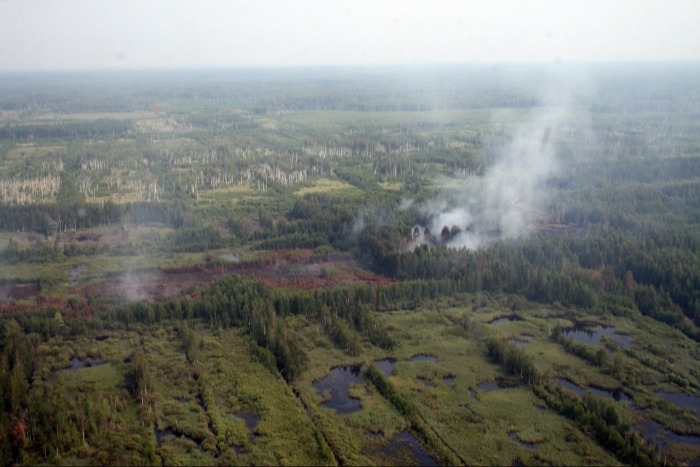 В Свердловской области потушили порядка 40 очагов торфяных пожаров