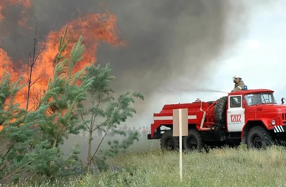 Пермские ученые разработали мину для тушения лесных пожаров