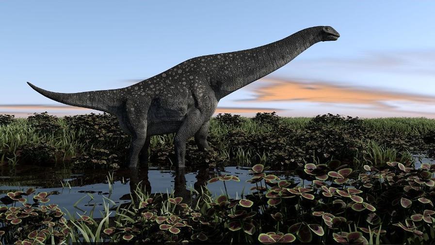 Останки неизвестного ранее науке титанозавра нашли в Ульяновской области