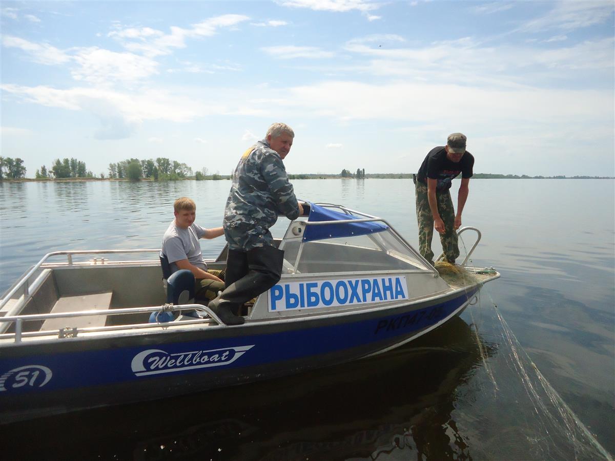 Акция «Волга без сетей» пройдет в Самарской области
