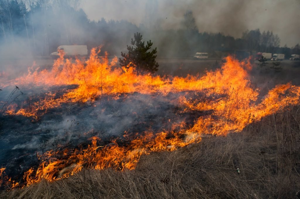 Режим ЧС введен в Нижнем Новгороде из-за роста числа природных пожаров