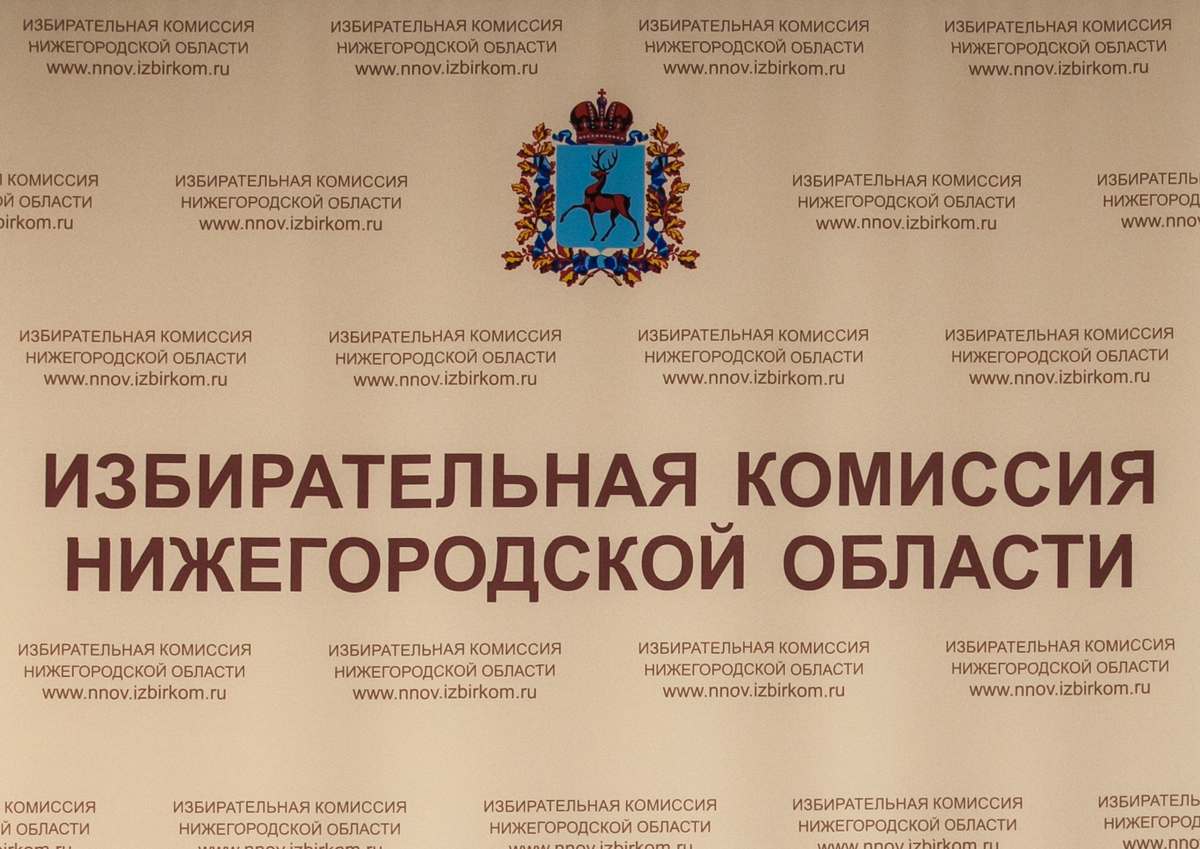 Председатель избиркома Нижегородской области ушла в отставку