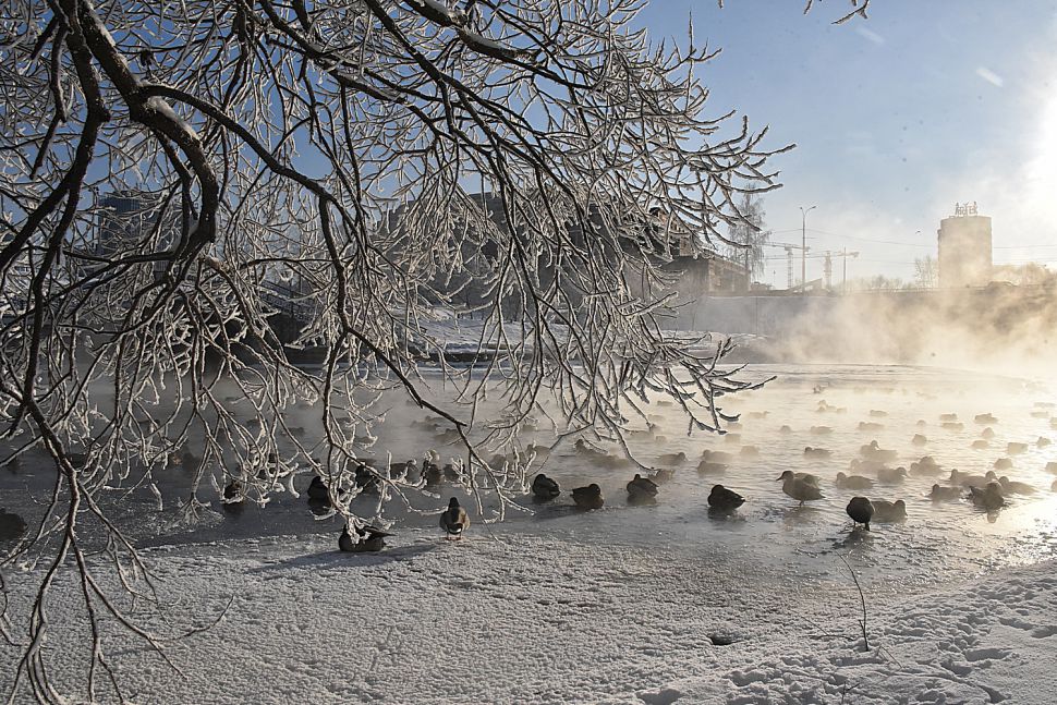 После потепления на Урал вновь вернутся морозы