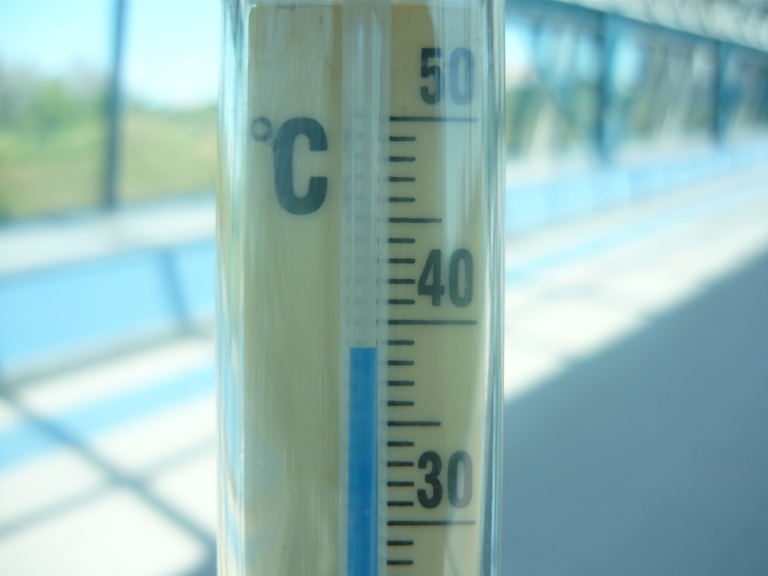 Жара до 37 градусов ожидается в Курганской области