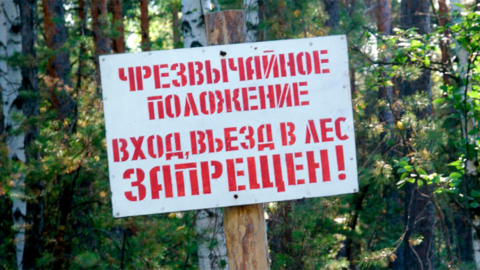 В большинстве районов Удмуртии из-за жары вновь запретили посещение лесов