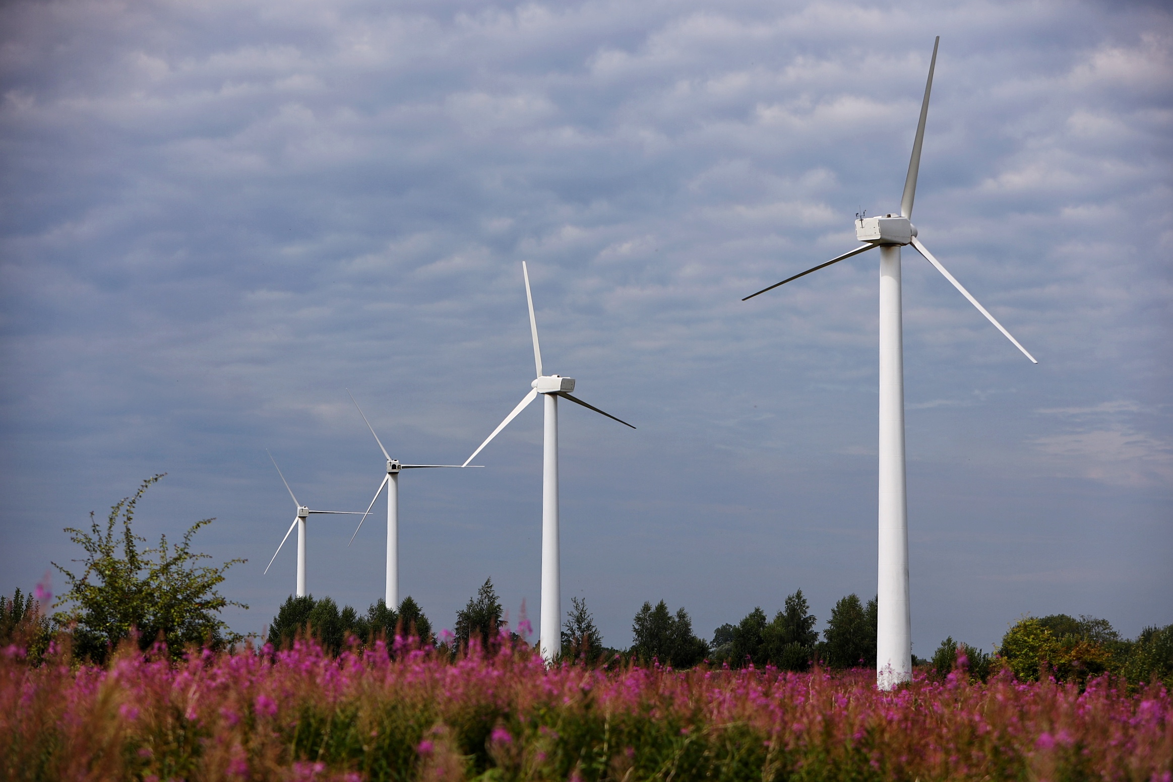 В Самарской области началось строительство ветропарков мощностью 237 МВт