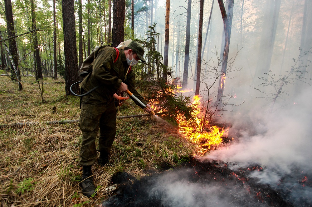 Мэр Тольятти объявил награду 500 тыс. рублей за информацию о поджигателях лесополосы