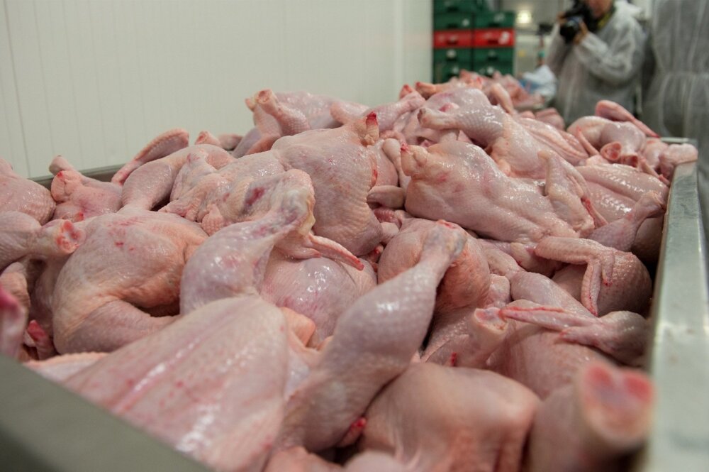Минсельхоз заявил, что Россия полностью обеспечивает себя мясом птицы