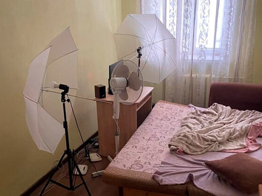 В Ульяновске пресечена деятельность подпольной порностудии
