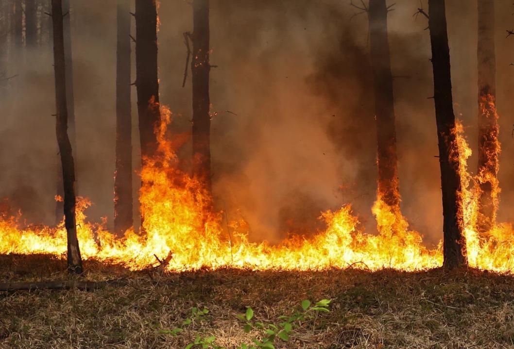 В Тюменской области начались ландшафтные пожары