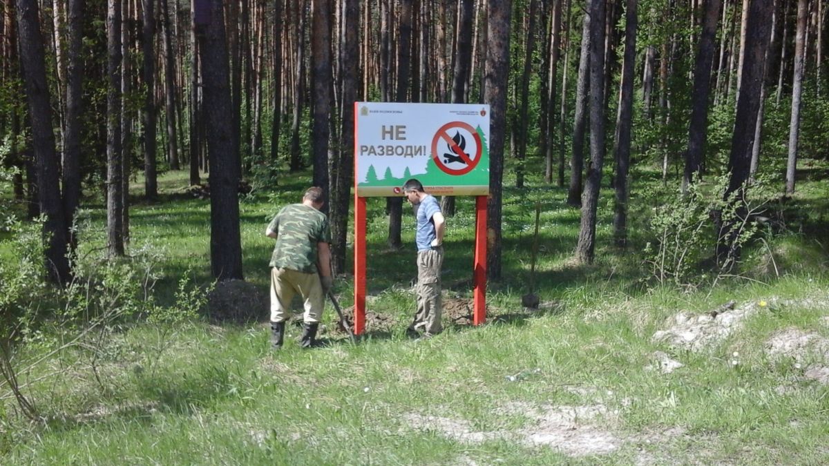 Президент России дал ряд важных поручений в части охраны лесов от пожаров