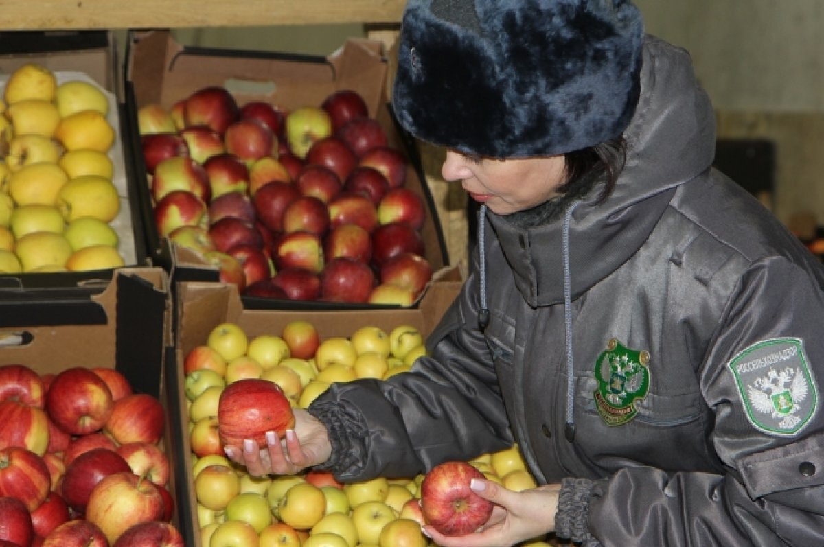 Россельхознадзор сообщил о росте экспорта плодоовощной продукции из РФ в 2023 году на 55%